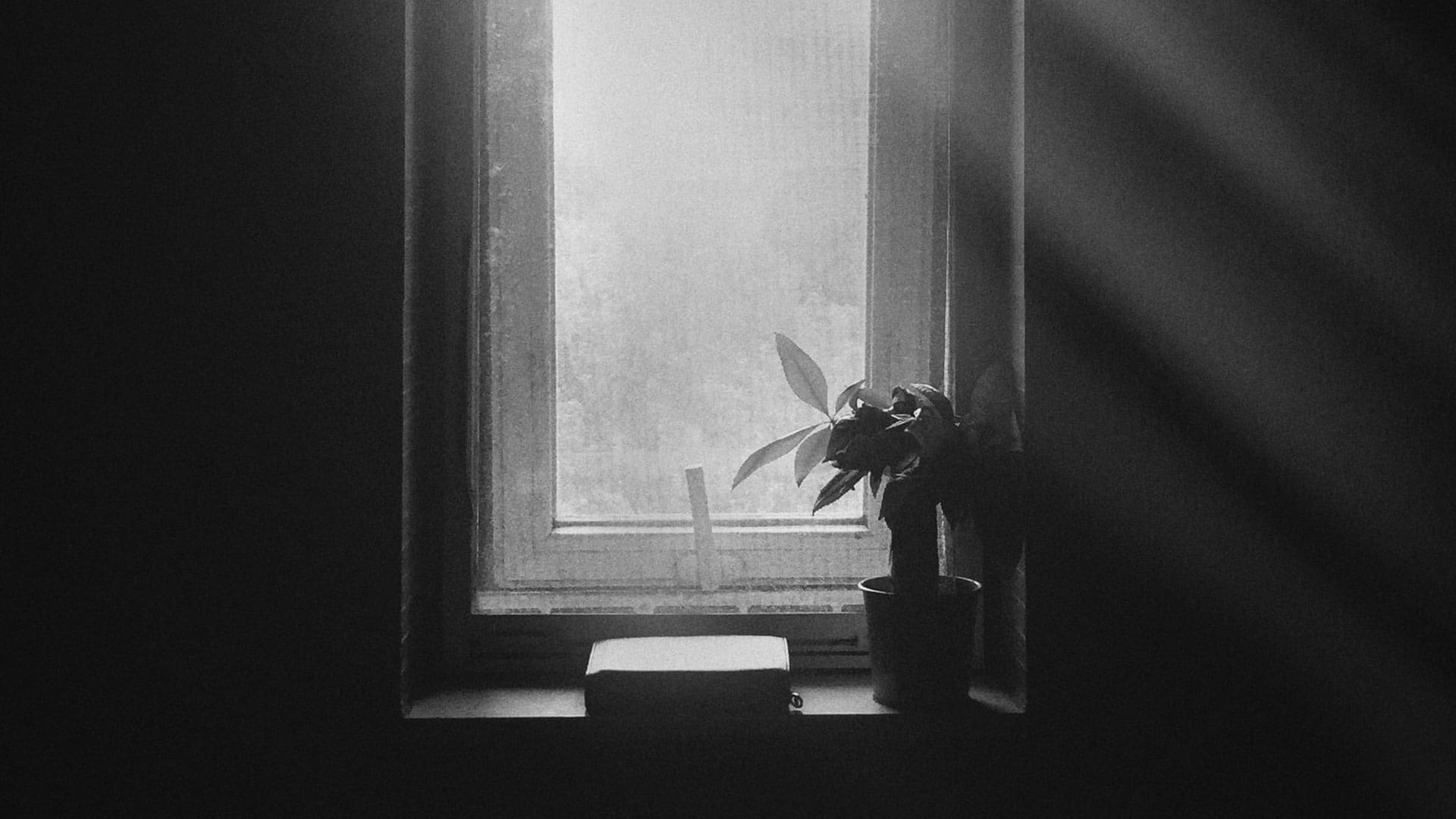 Christian Wiman