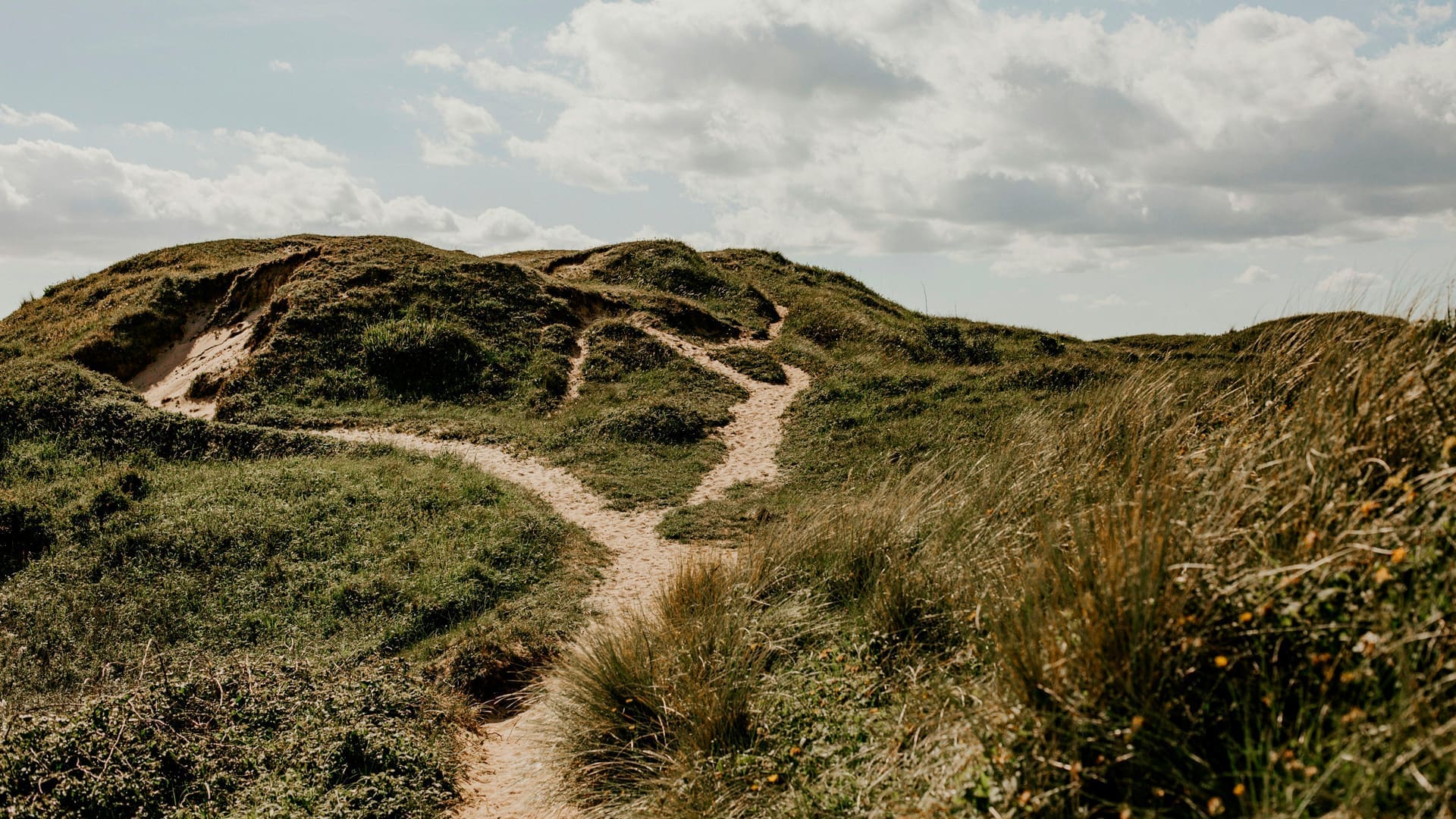 A narrow dirt path winds through grassy hills under a partly cloudy sky, with scattered wildflowers along the trail and sunlight highlighting the landscape.
