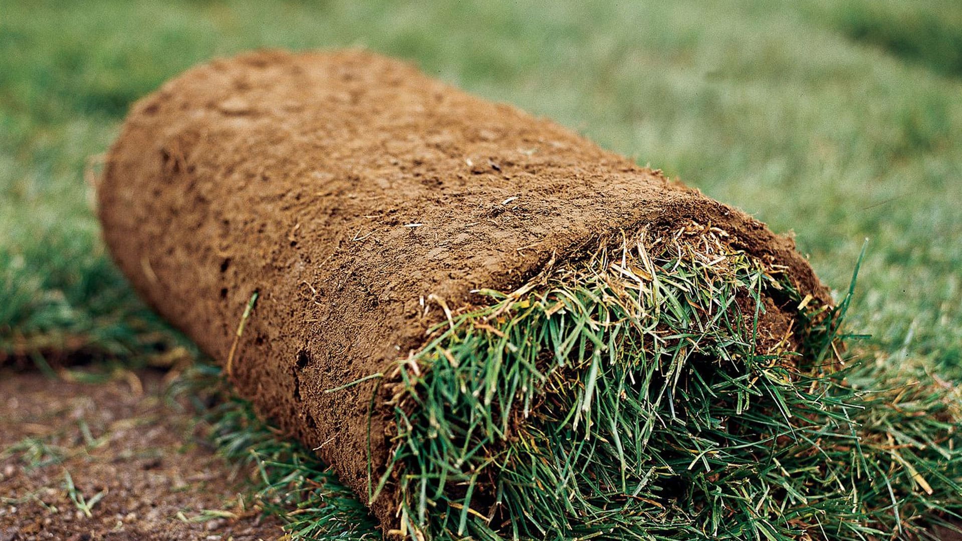 A roll of sod on the ground