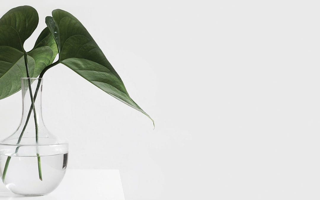 Minimalism