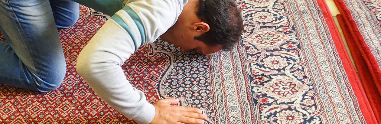Living with Islamism