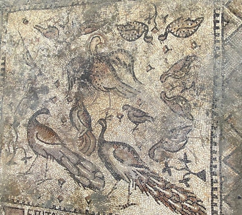 A peacock mosaic