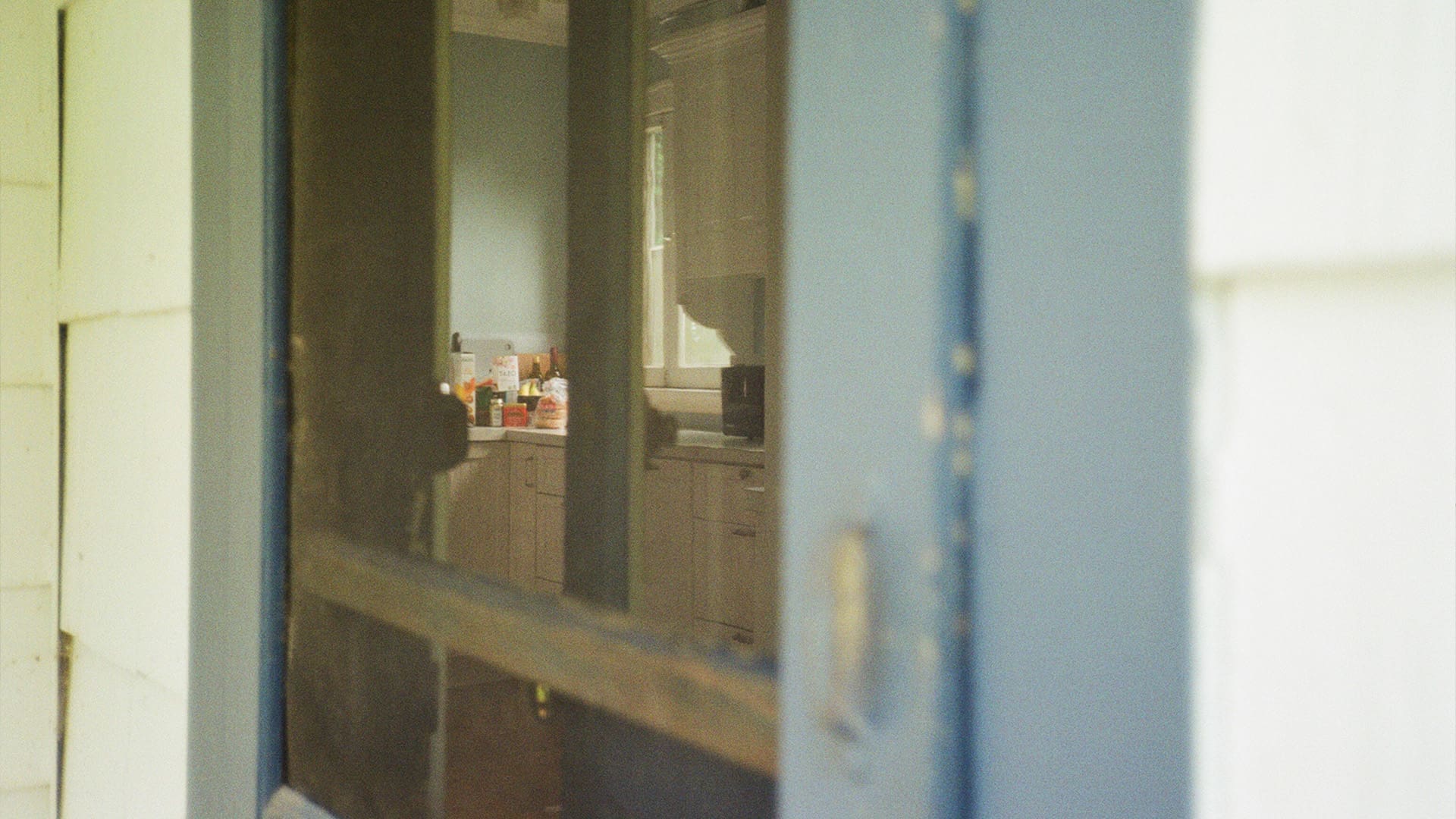 A blurry view through a blue-framed screen door shows a kitchen with white cabinets, a window, and various bottles and items on the countertop.