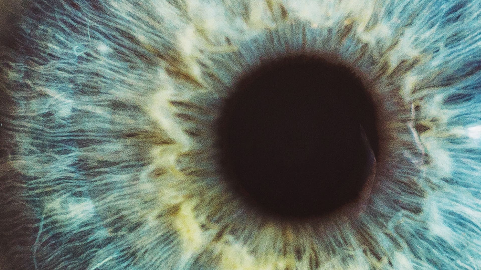 Close-up of a blue-green human iris with detailed patterns and textures radiating from the dark black pupil at the center.