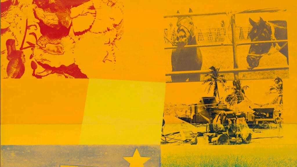 Collage with yellow and orange overlay featuring horses behind a fence, vintage machinery, a star, and abstract shapes blending together.