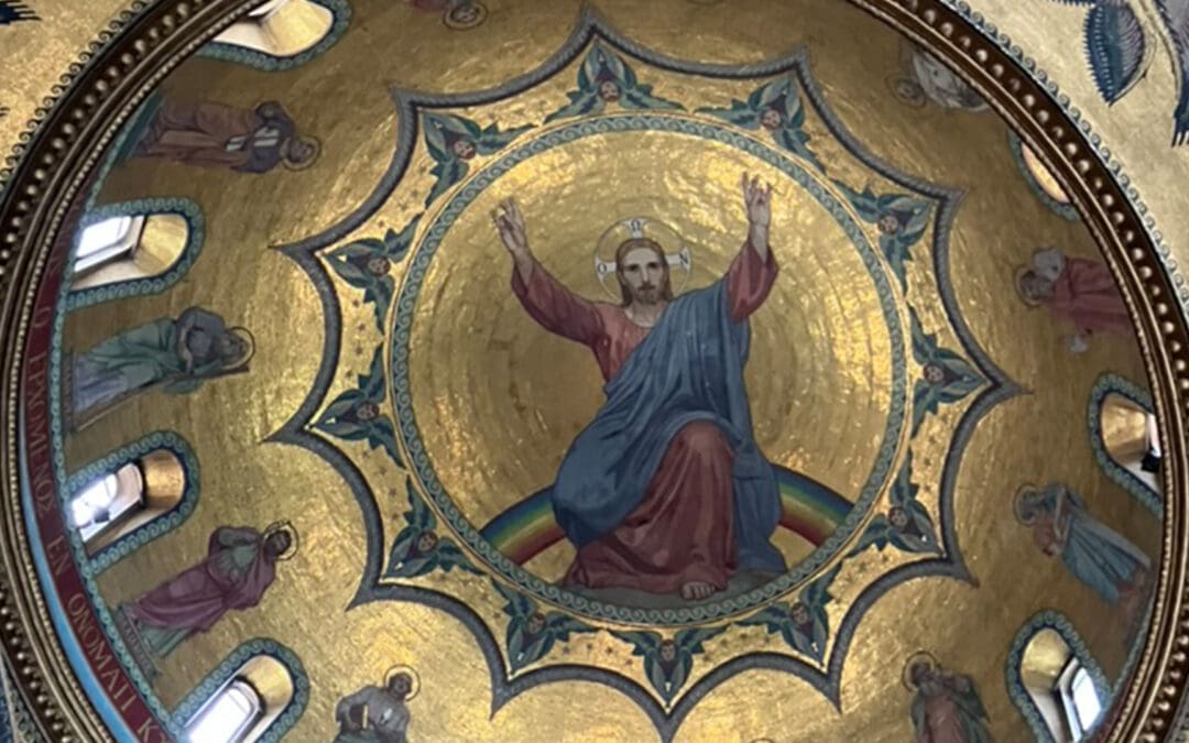 The Gentrification of the Saints
