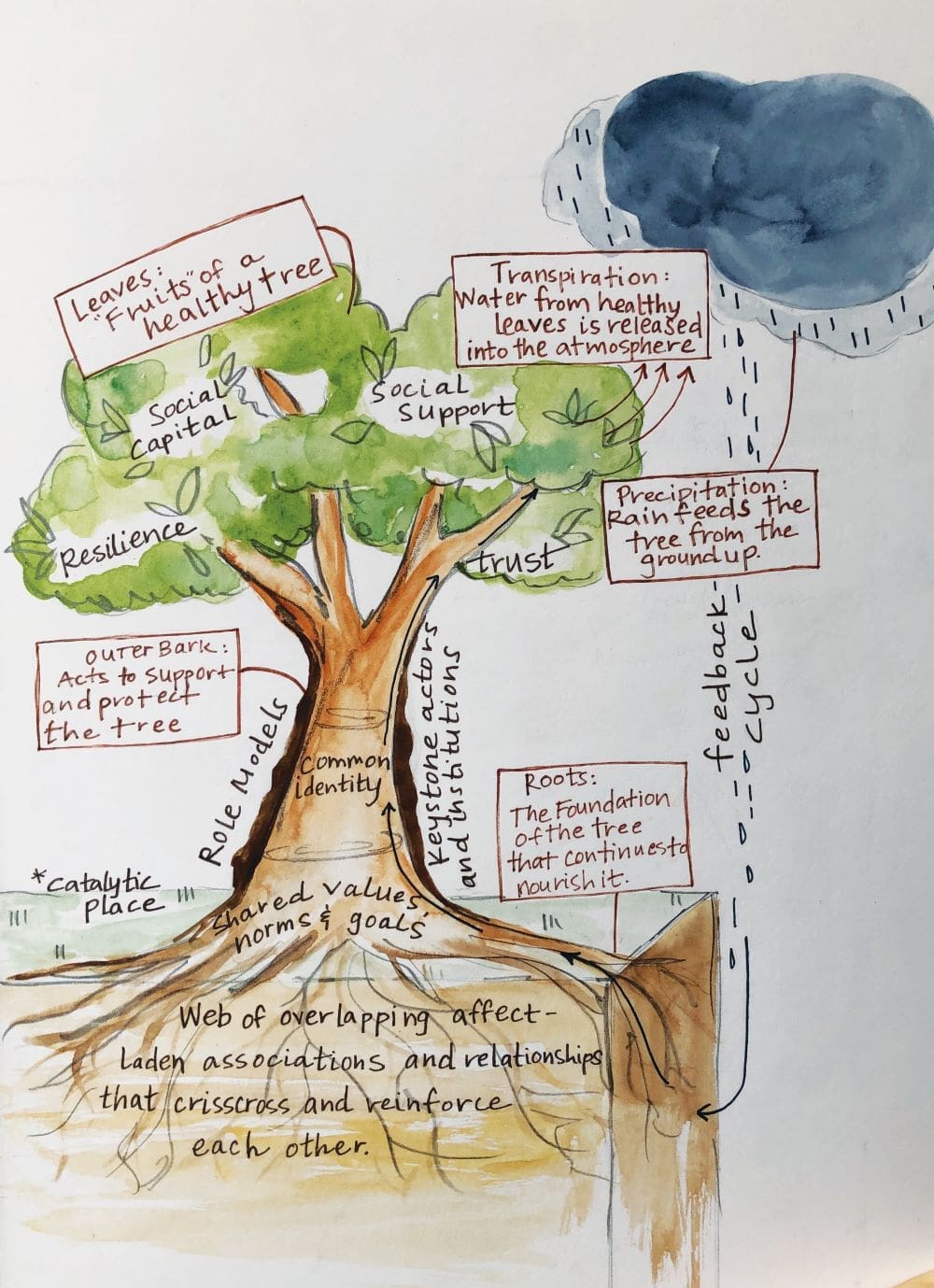 What is community? An illustration.